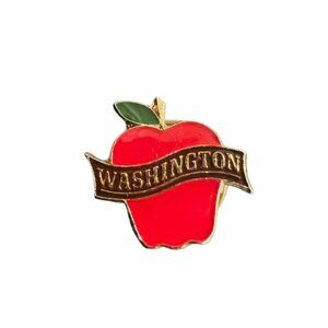 Washington State Cloisonne Lapel Pin